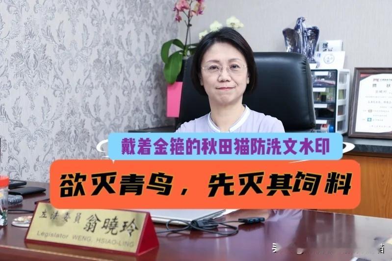 翁晓玲霸气侧露、刀刀见骨！一句“欲灭青鸟，先灭其饲料”，撕开了绿营当局多少“政