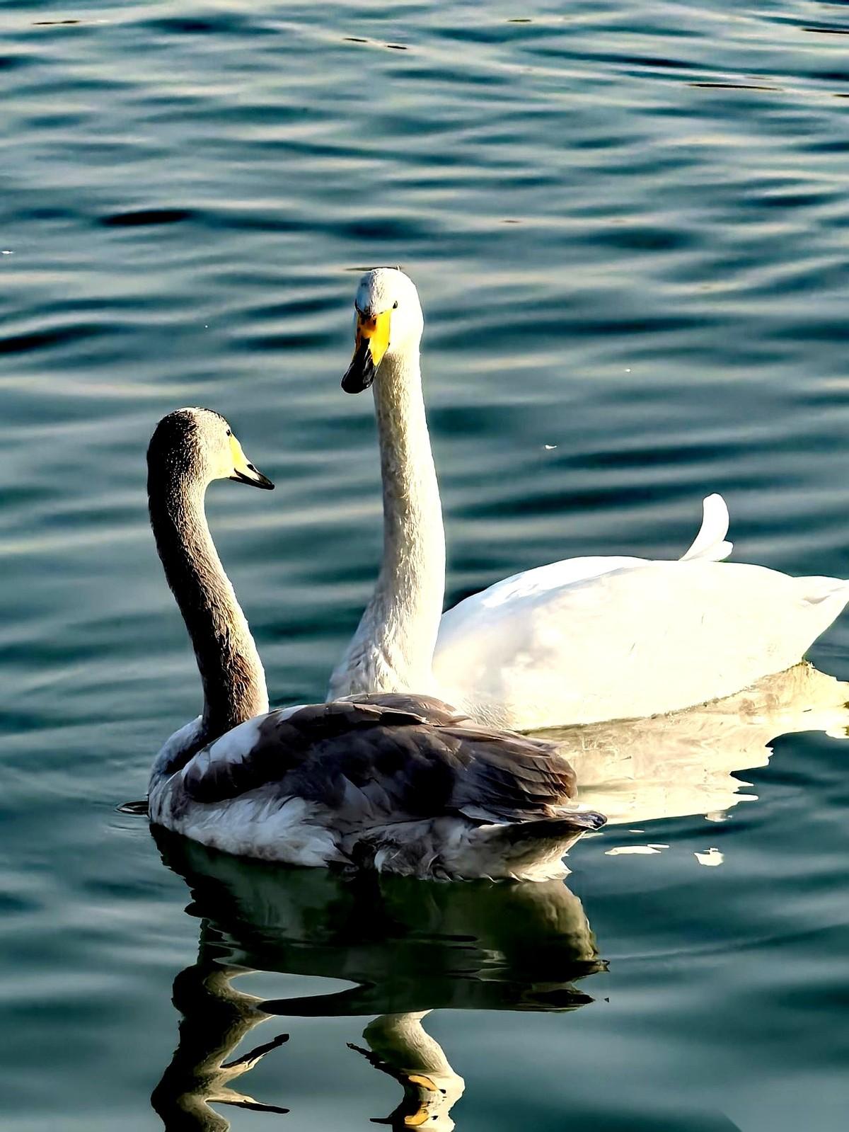 我跟你讲，有件特有意思的事儿正在发生。乌尉高速，马上要通了。你知道这意味着什么