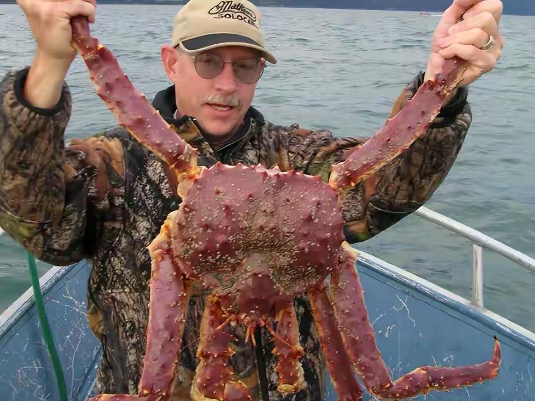 挪威芬马克郡的海底，竟像铺了层红彤彤的蟹壳地毯，上千万只帝王蟹挤得密不透风，当地