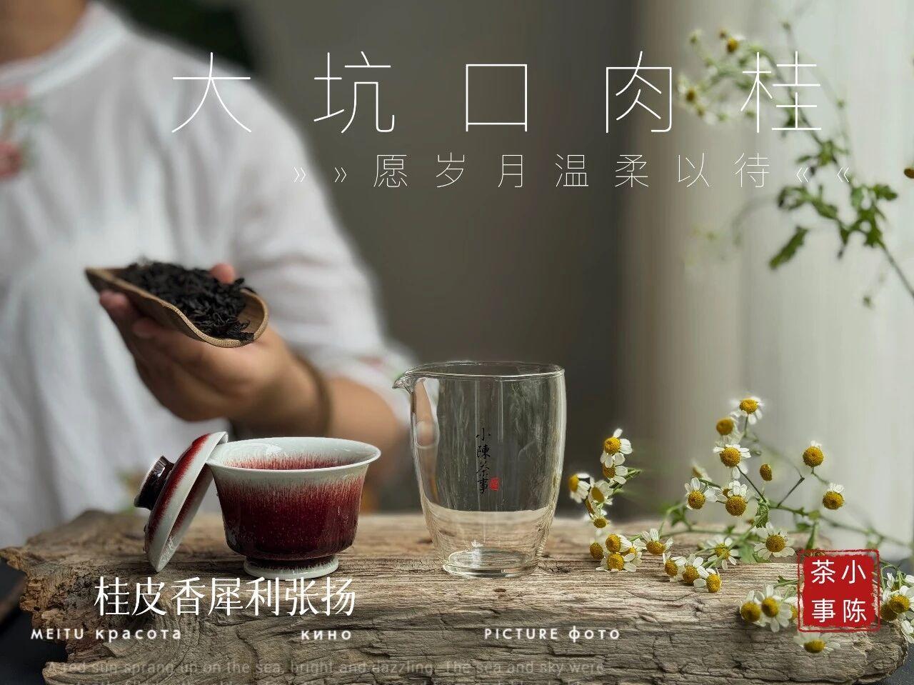喝茶5不贪，越喝越健康①不贪凉冷泡茶、冷萃茶，偶尔喝一喝可以，但不要频繁喝。