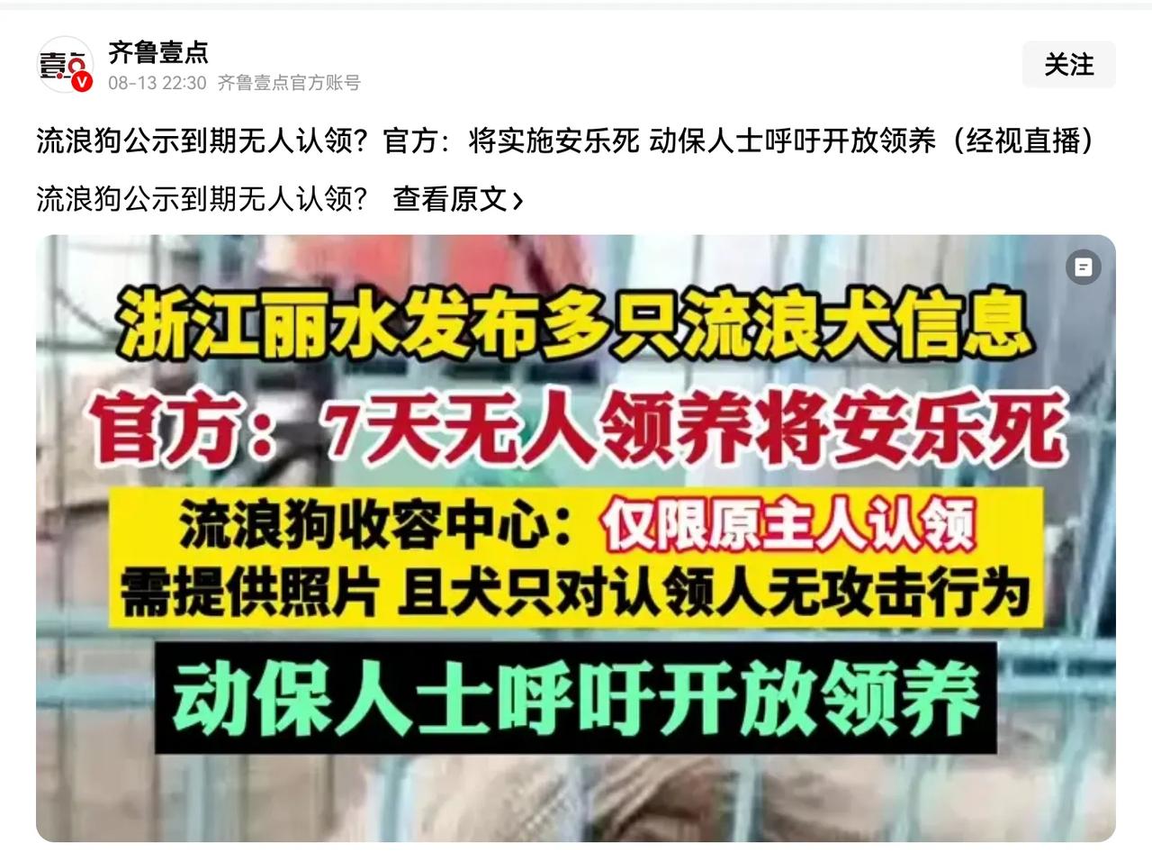 呼吁动保人士积极认领，要不狗狗就死了。你们是有责任的。