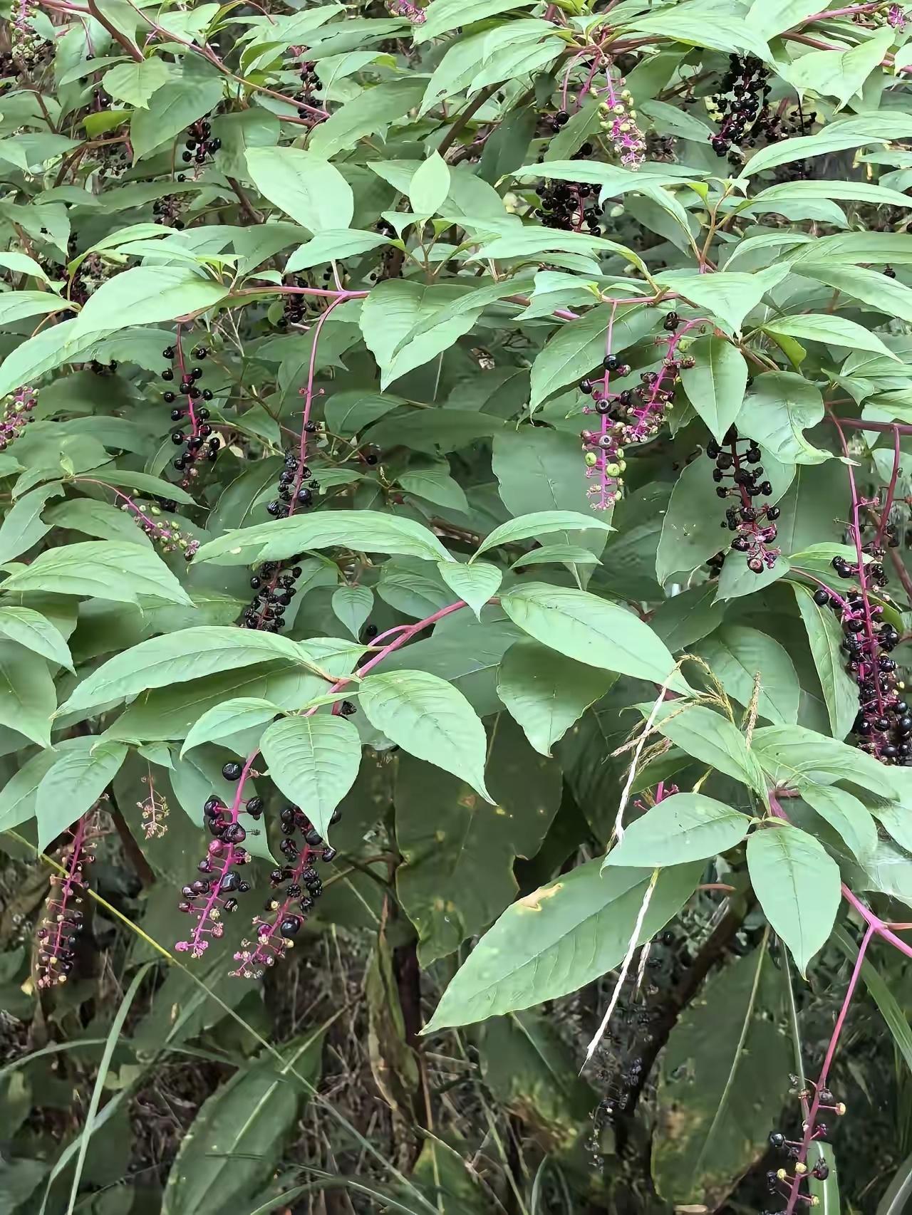 广州icon57岁保姆每次买菜多报20元，雇主装不知道，谁料，三个月后，雇主得知