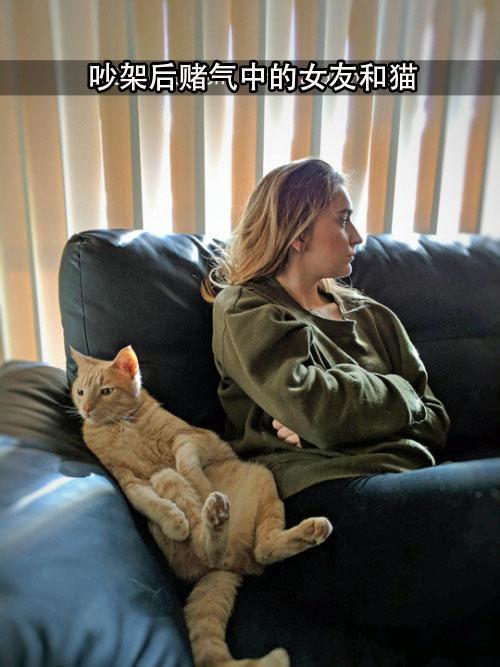 喵：反正错不在我，我希望你好好反省一下自己！