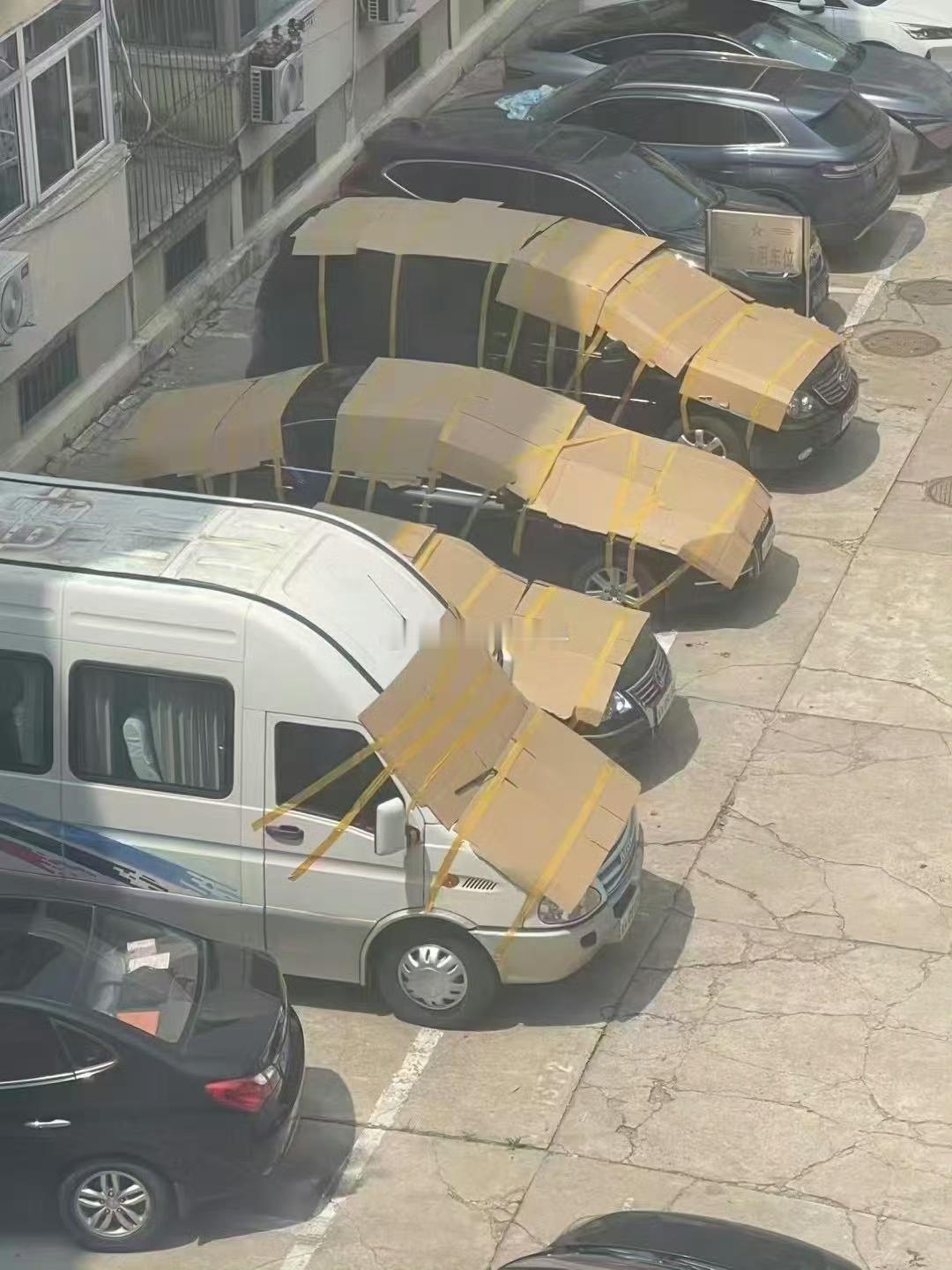夏天的停车场为啥会这样？？？