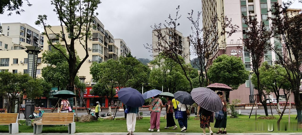 一个人在异地独自抗癌太孤独，太无助了。我今年才40岁，得了宫颈癌早中期，没有了子