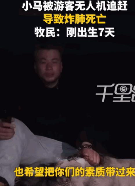 天生坏种！新疆巴音郭楞，一名游客，为了追求镜头下的“史诗级大片”，竟然操控着嗡嗡