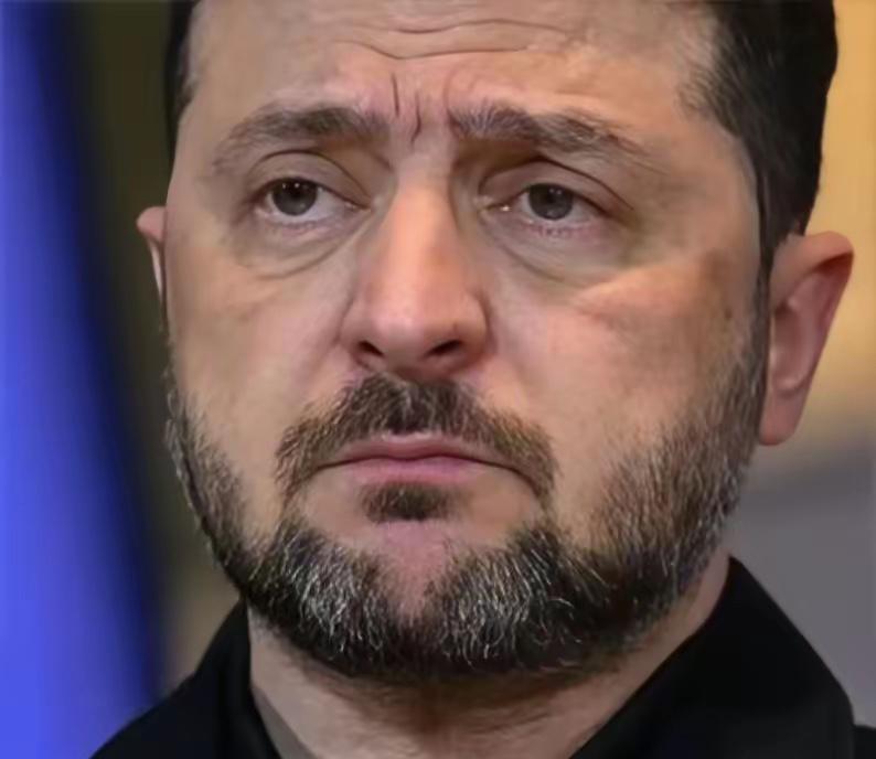 就在今天！2025年12月24日，乌克兰总统泽连斯基在基辅向全世界扔出了一颗重