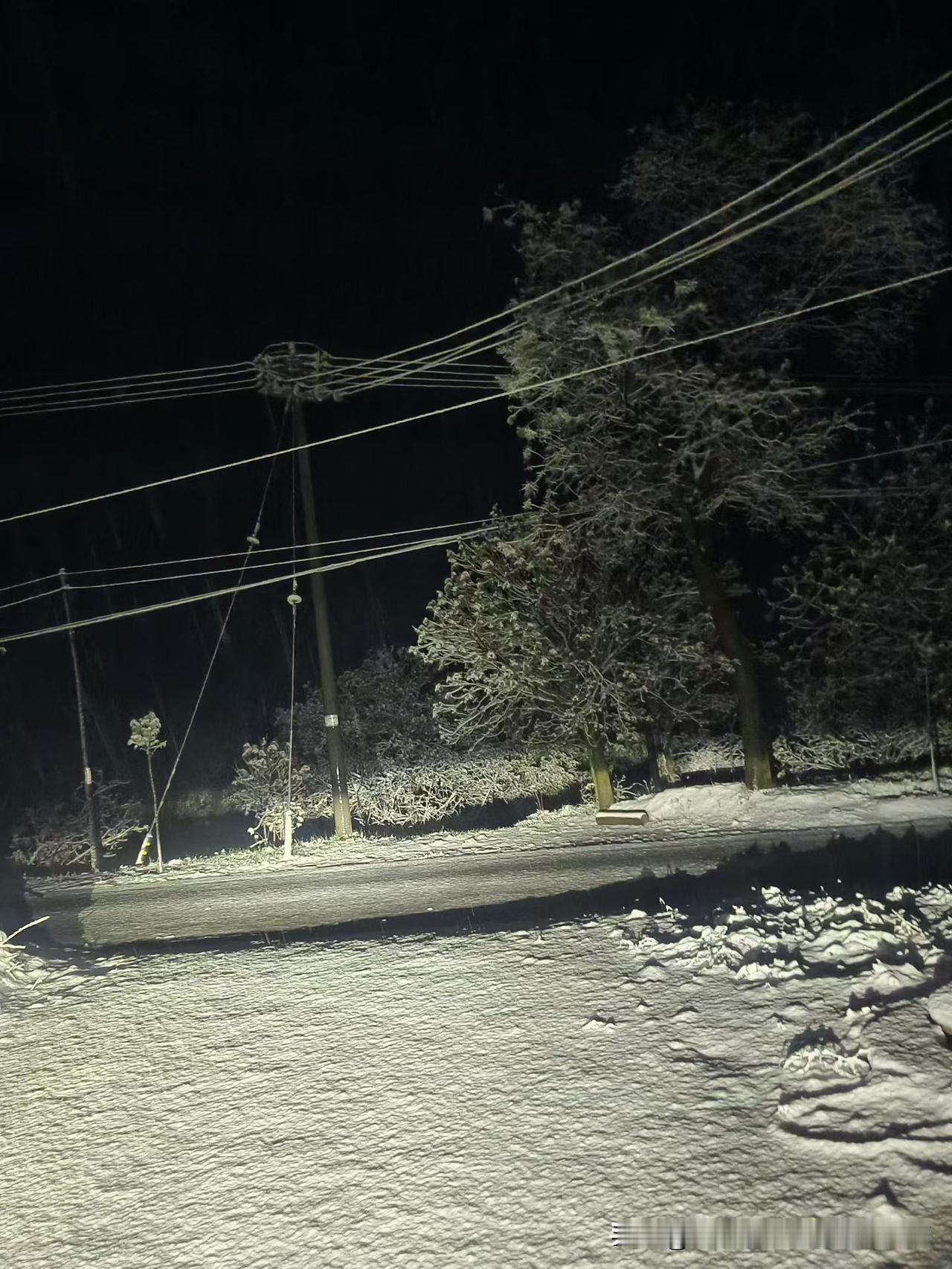 昨天一场大雪，今年的果农可怜了，苹果花直接冻死了！估计今年夏天也别想吃自家树上