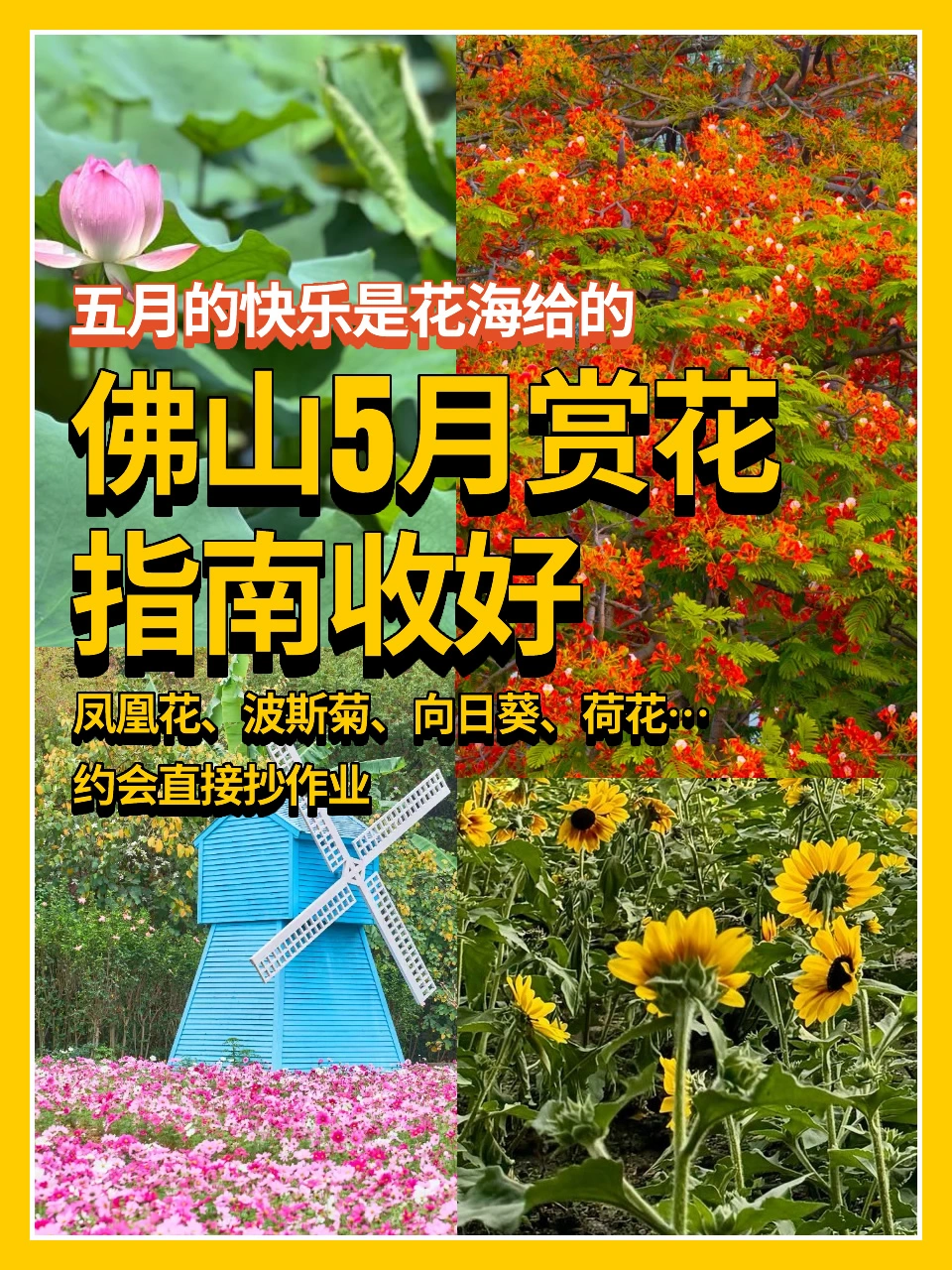 佛山5月赏花指南收好👉约会直接抄作业