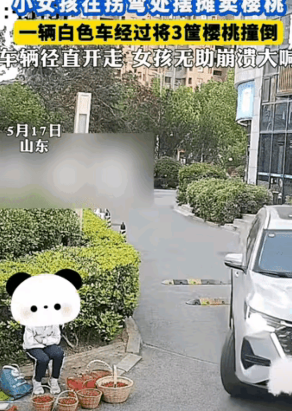 “崩溃了”！山东，小女孩在拐弯处摆摊买樱桃，不料，一辆白色车经过时，意外将3筐樱