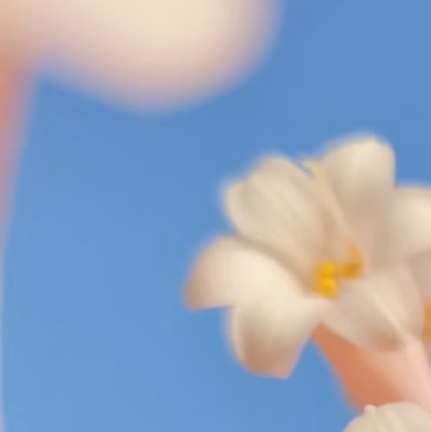 0000垂筒花种植1.选地配土选择向阳或半阴、通风良好的环境，土壤以疏松透气、