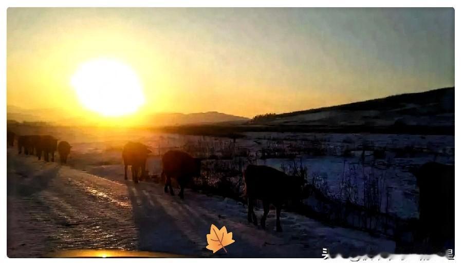 1月22日这消息一出，不少等着“吃老本”的人估计要睡不着了。农业农村部彻底定调