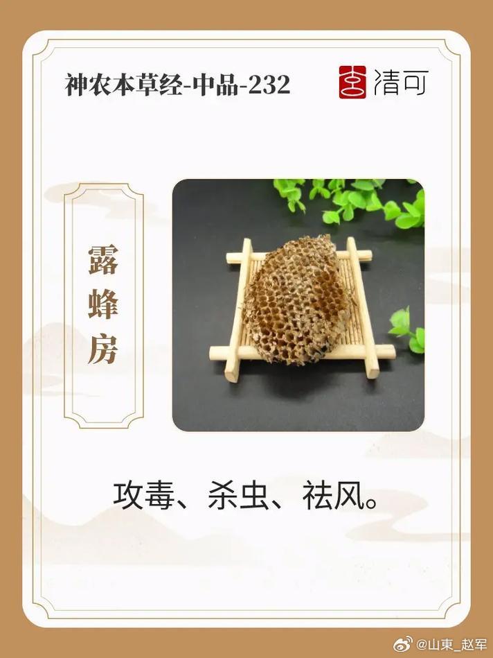 露蜂房配伍增效方案（鼻窦炎专用）整体思路：露蜂房散结通窍为君；白芷引药直达鼻窍；