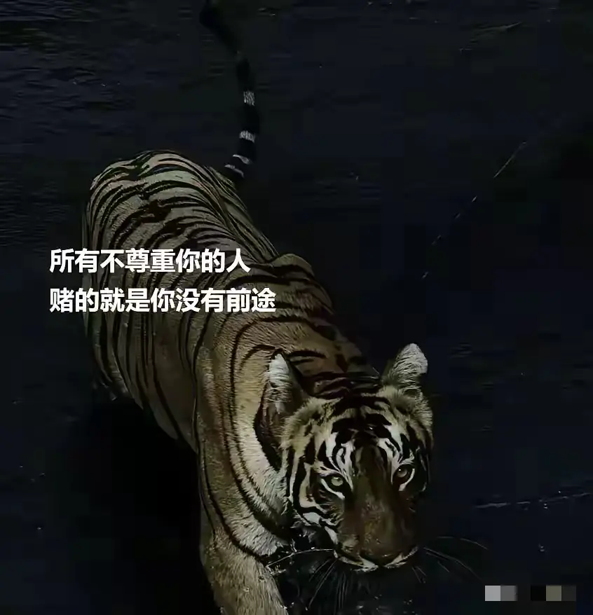 所有不尊重你的人，赌的就是你没有前途。