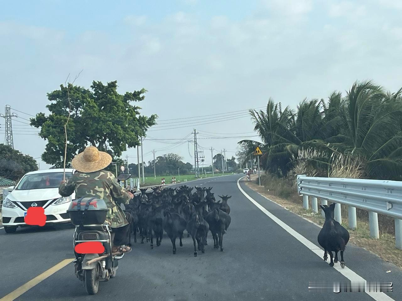 告诉阎学晶几点人间常识，但愿能扎一扎她的心。目前，农民的养老金