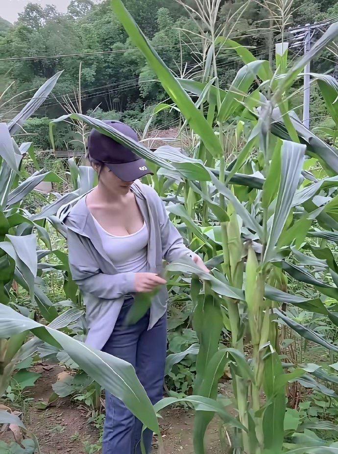 现在还有新鲜的玉米吗