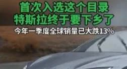 特斯拉下乡是件挺有意思的事。新能源汽车下乡车型这次有124款，以前最多99款，选