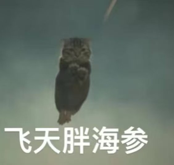 田曦薇评论区猫猫团建让我们恭迎猫猫女王武祯评论区完全猫猫团