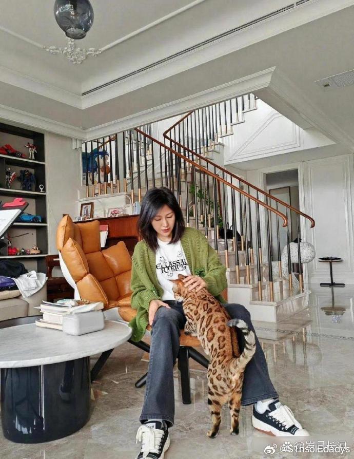 陆毅与鲍蕾在上海拥有上亿豪宅，彰显其财富。虽已淡出娱乐圈，但鲍蕾投资眼光独到，收