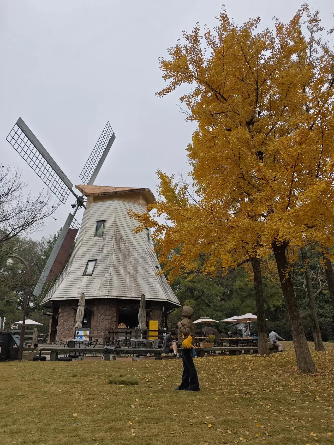 杭州太子湾公园定位于杭州南山路，对面就是西湖。这里除了每年三月份郁金香盛开的时候