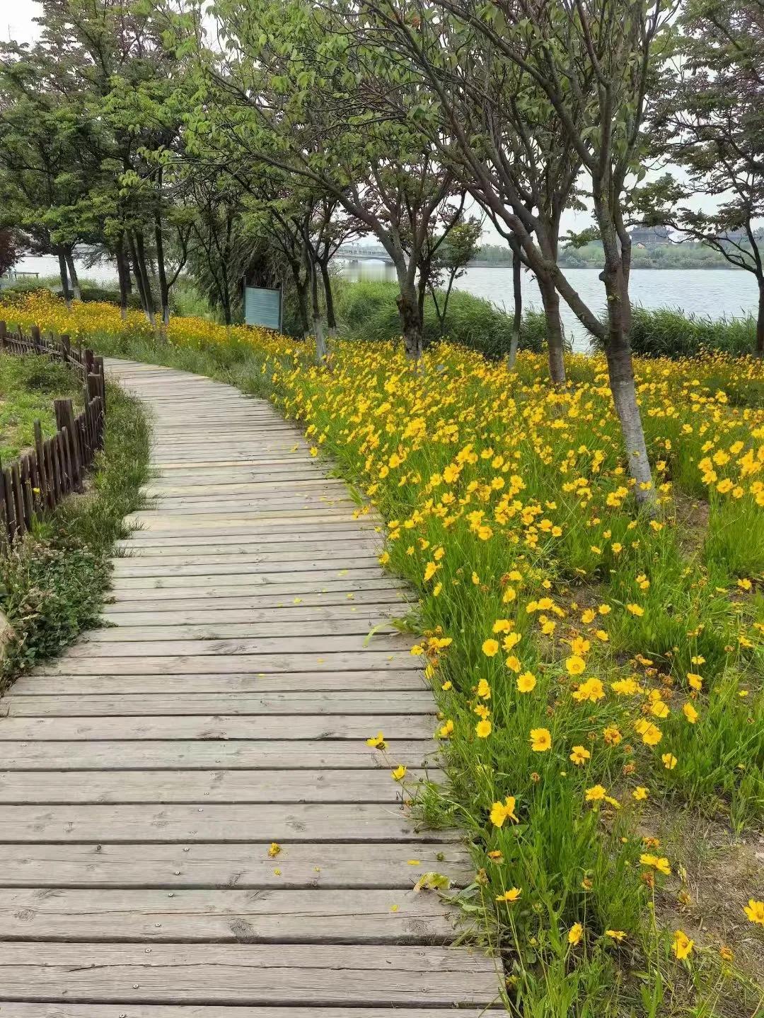 单位发了一袋大米，太沉，女同事叫男同事帮她送回去。到了楼下。她对男同事说：你在