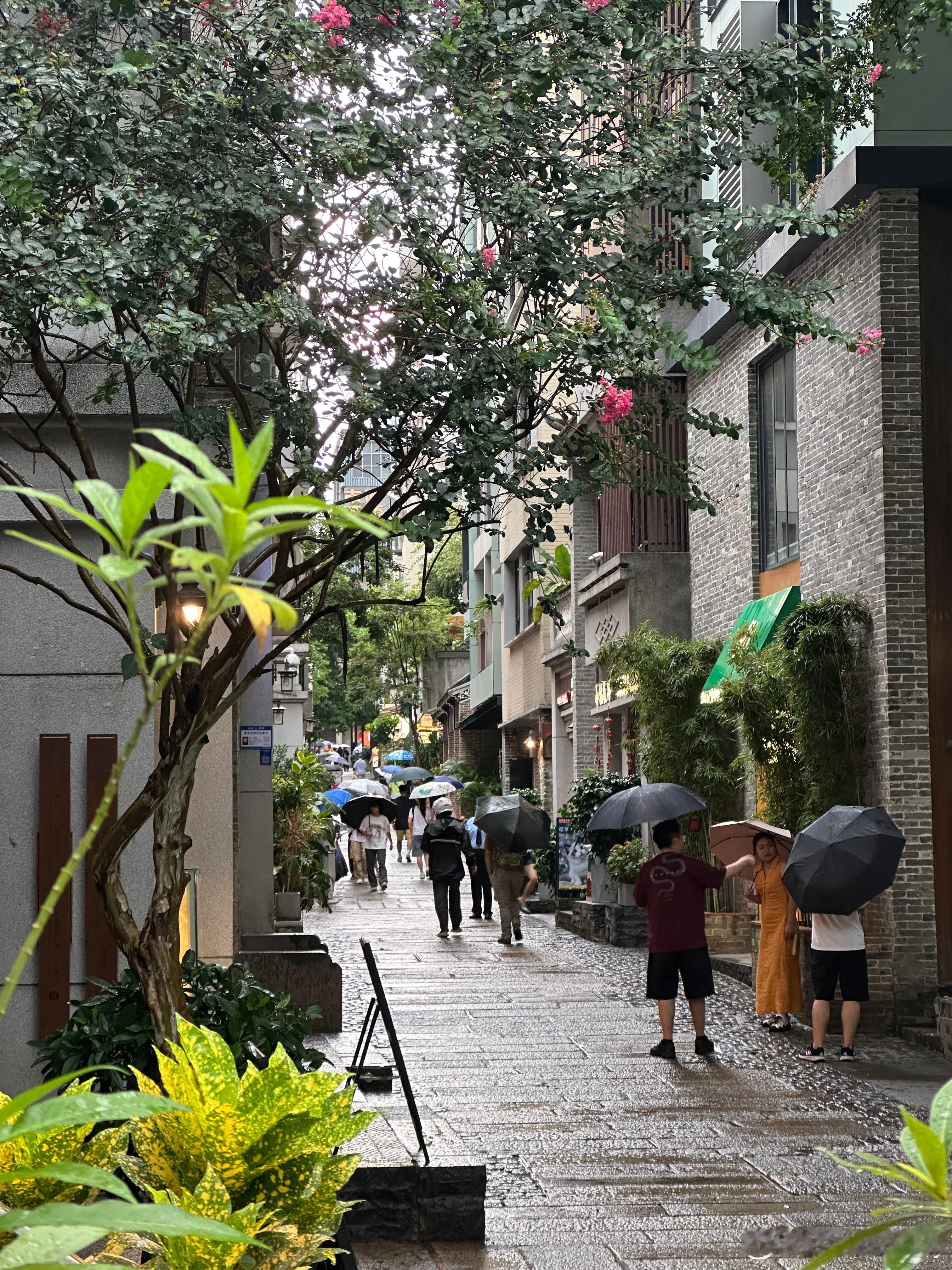有画面感了深圳南头古城值得走一走​​​