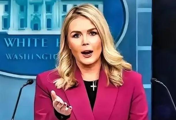 中日闹那么多天，躲在日本背后的第二条大鱼被我们钓了出来这条大鱼不是别的，正是一直