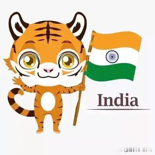 是的没搞错，造大飞机？不得不佩服印度三哥，居然要在未来十年内造出大飞机，超越