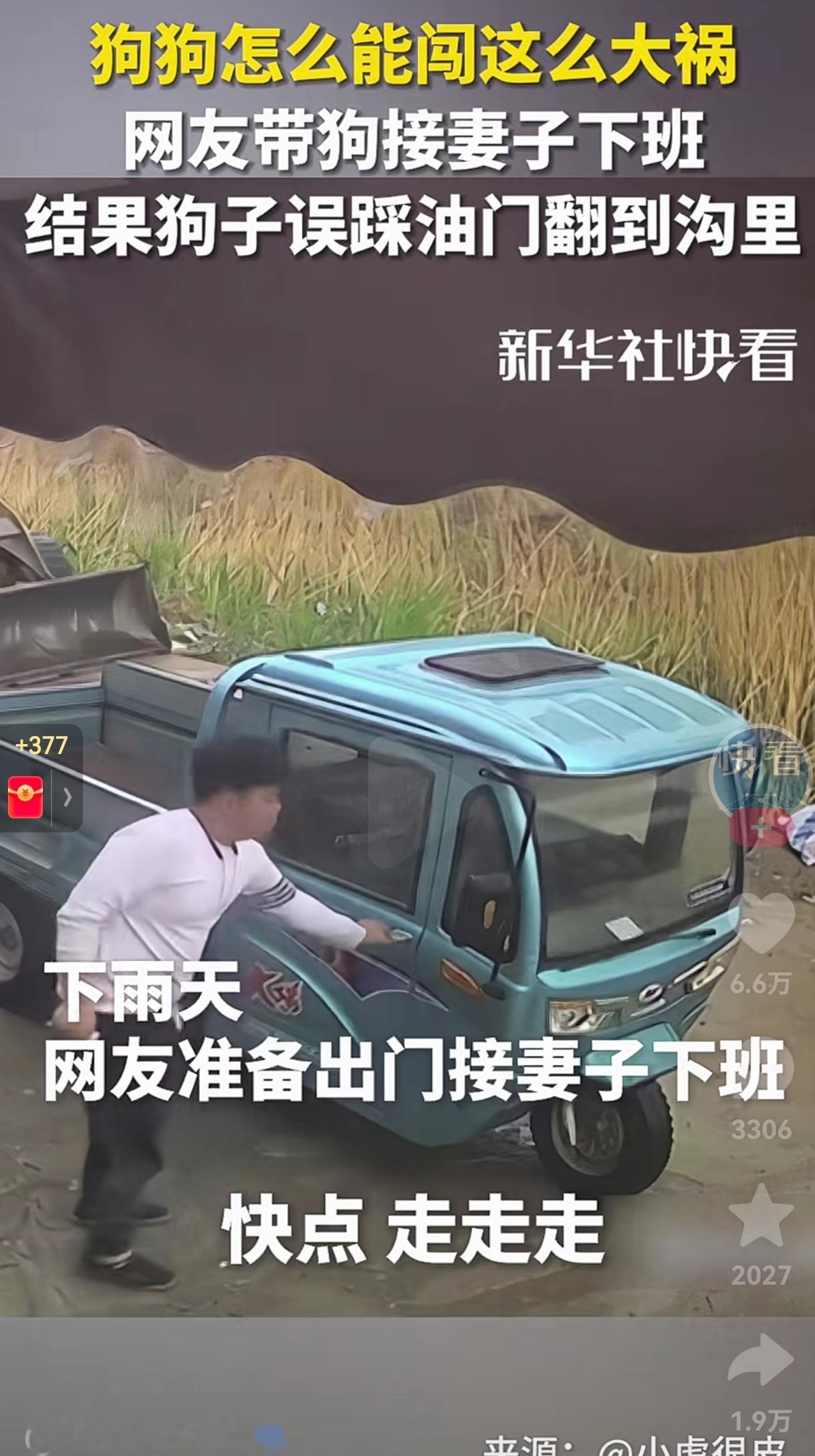 这也不能全怪狗狗，毕竟，狗狗有七分错，你也有三分。为什么这么说呢？你开三轮车为什