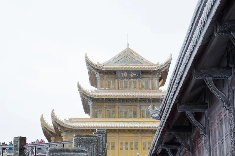 2026年刚开始，峨眉山就搞了个大动作！据四川日报消息，从1月1日起，峨眉山佛教