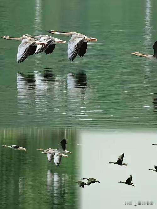 不跟人家比学历、比能力、比贡献，更闭口不提缴纳社保一事，只想享受一样的退休得遇，