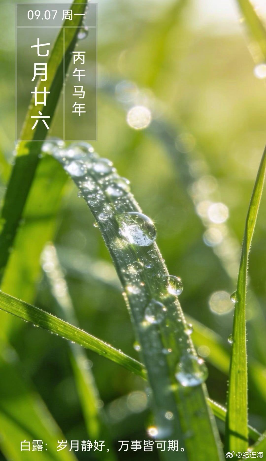 老纪说生活常识白露习俗趣事与养生（三）。白露时节，要做到护心、护脚、护肠胃的“三防护”。护心：冬季是