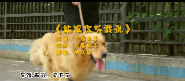 姑娘你听我说简谱_听我说谢谢你简谱