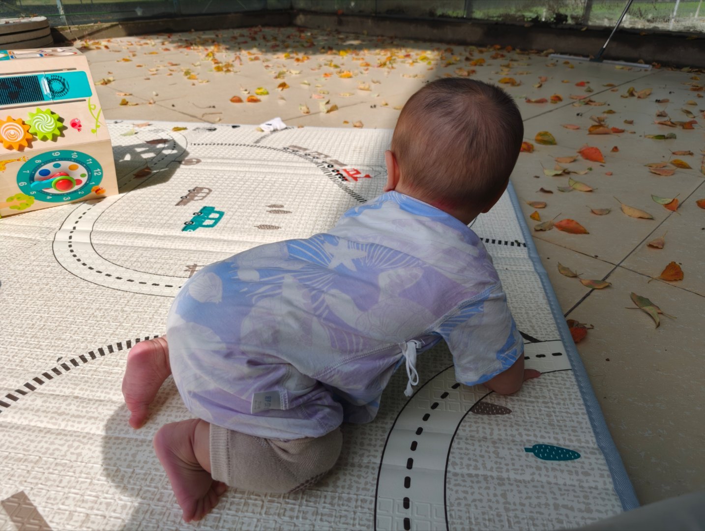 本来给小狗买的护膝，狗用不上就给儿子用吧