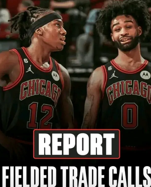 比尔如果爽约，科比怀特可以成为快船的B计划！公牛一直在推进科比怀特和多森姆的交