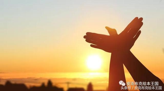 皮克布克关注孩子第一次: 花开花落-寻梦环游记和爷爷变成了幽灵