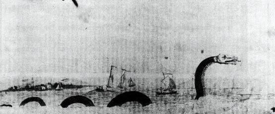 1851年，美国一艘捕鲸船在太平洋斩杀了一条巨大的蛇形巨兽。光它的头都熬了10桶