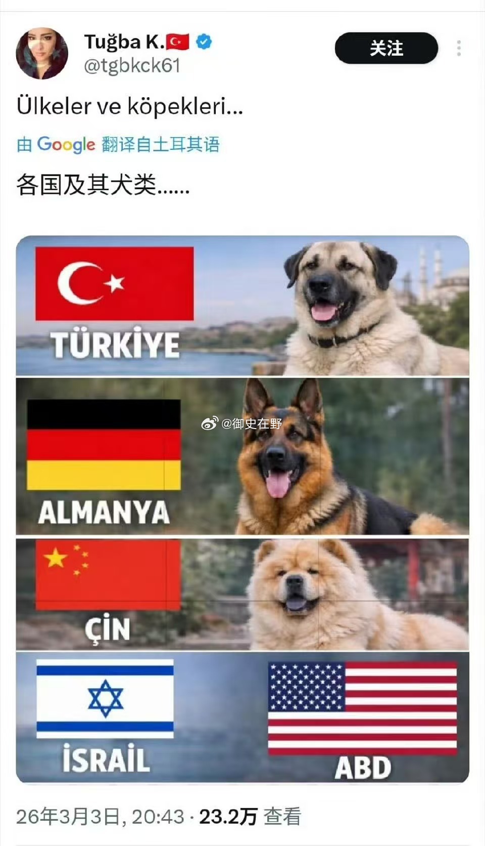 这么说会不会太伤它了？