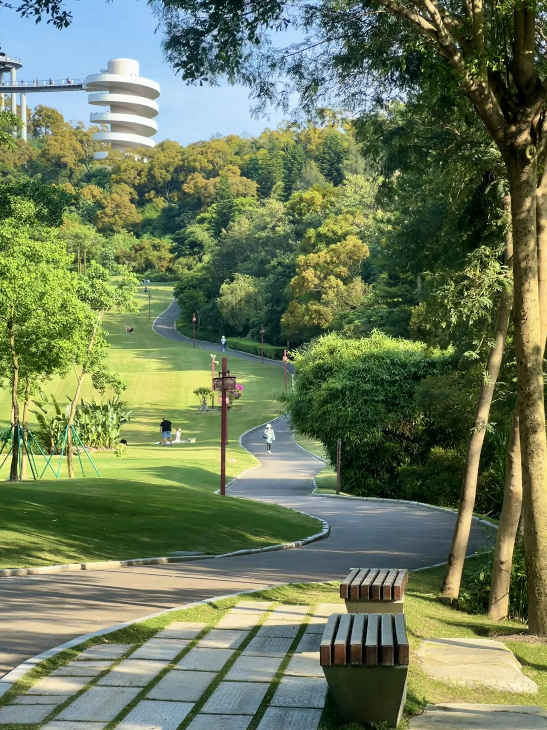 Greenwalk🌳厦门是一个巨大的公园
