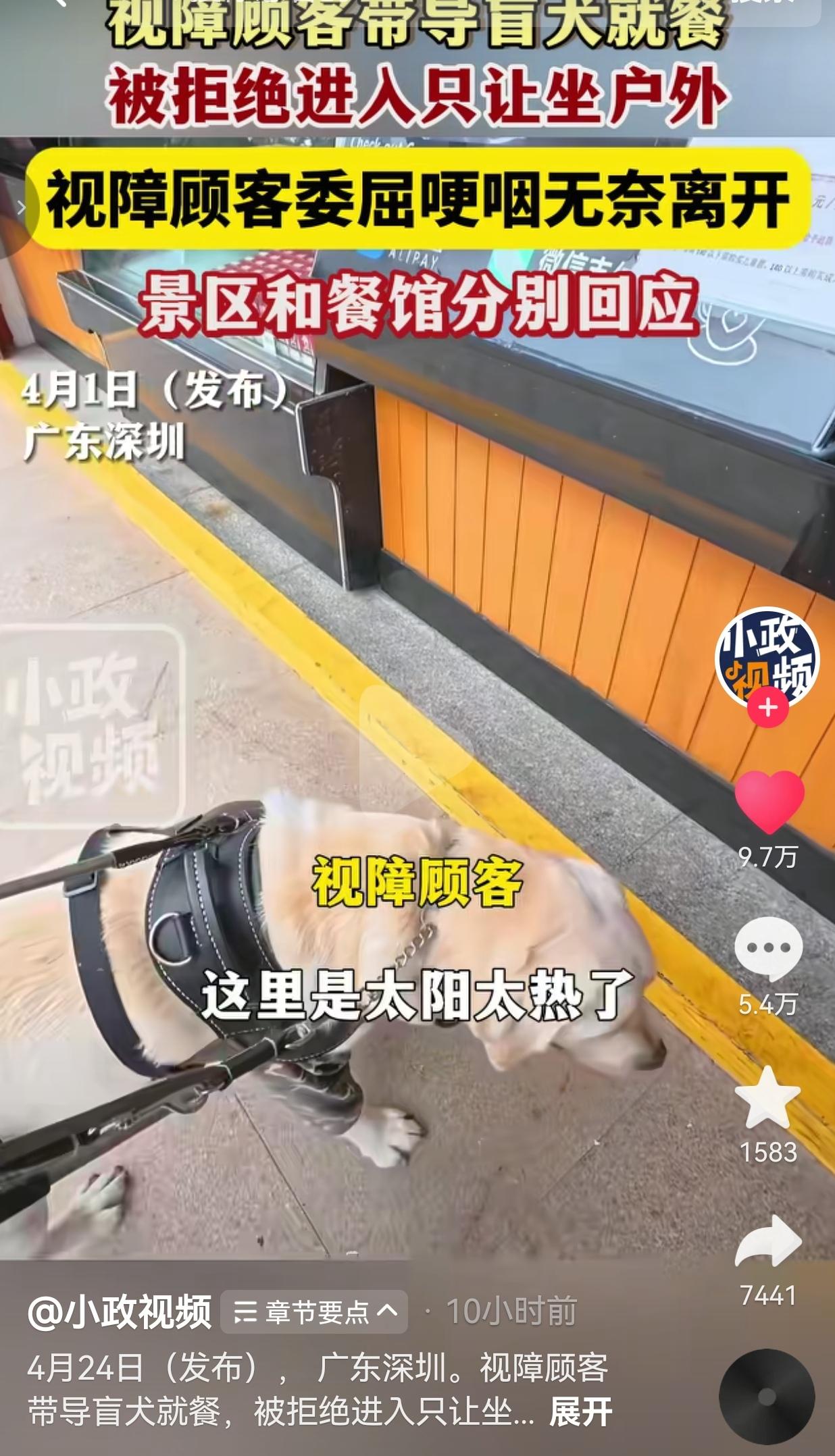 一女子带导盲犬吃饭，被当众拦在门外，委屈得差点哭出来这事发生在深圳凤凰山森