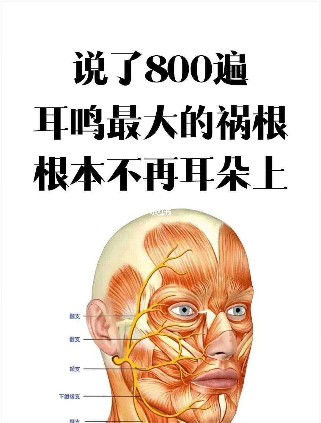 耳鸣 不走冤枉路