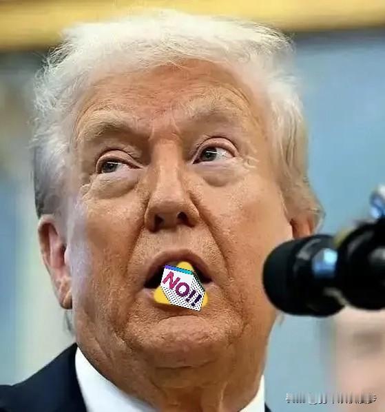 中国出手了。北京方面释放明确信号：近二十家涉台军售的美企被锁死，稀土全