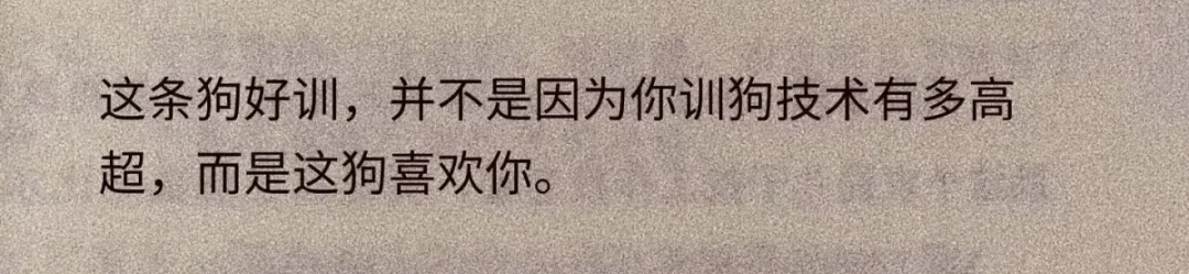 哈哈 笑死了😹