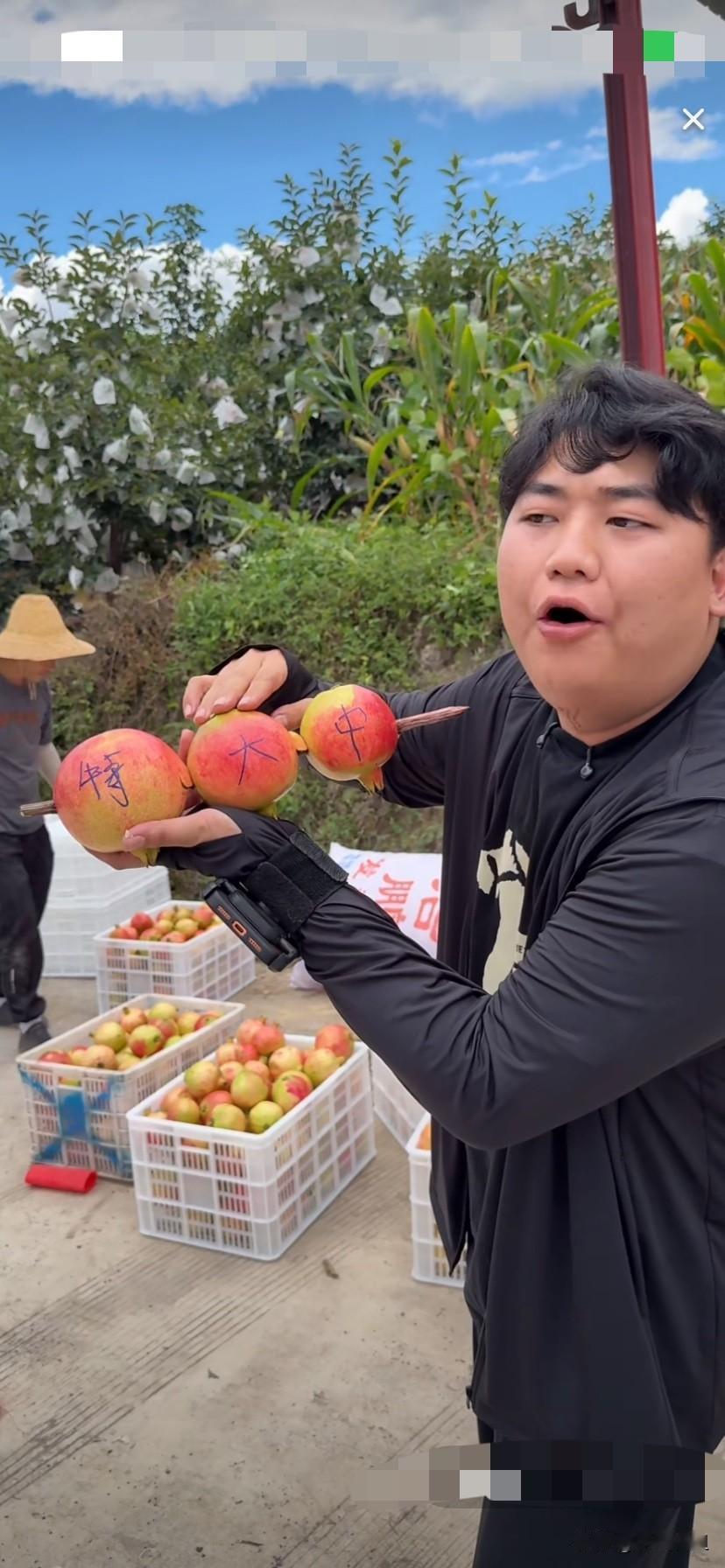 全红婵的哥哥，全进华，现在已经自带流量了！直播中，不用提妹妹全红婵，直播间照样