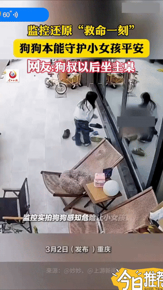 “汪汪队立大功了！”重庆，一小女孩在自家花园玩手机，不料，狗狗突然跑过来扒拉小女