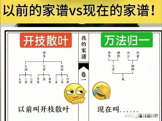 家谱的这个变化，有点太那个了😯