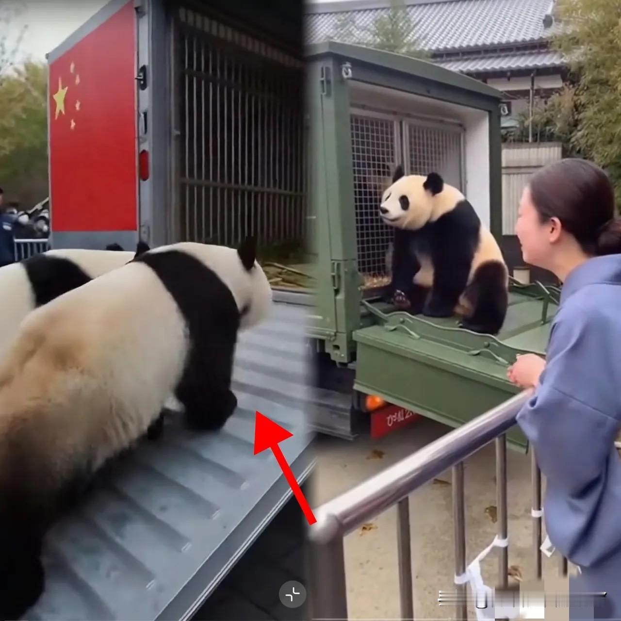 1月27日，上野动物园那场景，看了心里真不是滋味！一边是日本民众哭成一片