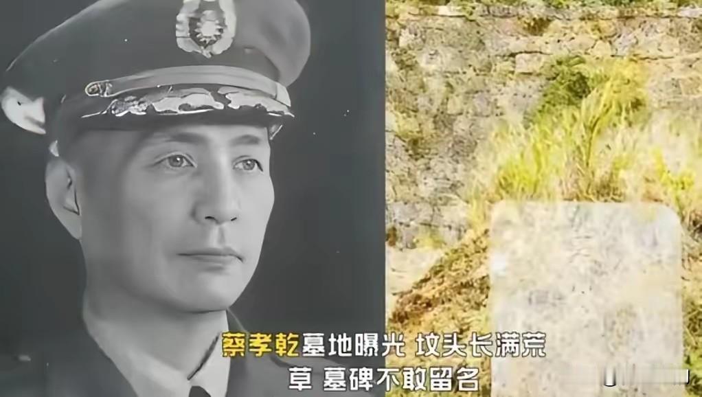 台北阳明山公墓有个奇怪的坟，碑上只刻“蔡公”俩字，周围杂草长到膝盖高，没人去扫。