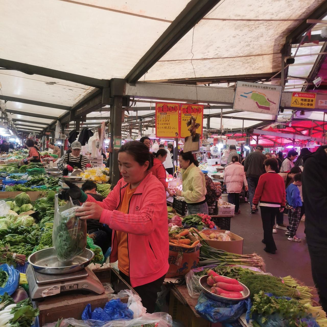 二七广场春海市场的海鲜好便宜！面条鱼10元钱一斤。红灯笼虾15元钱一斤，