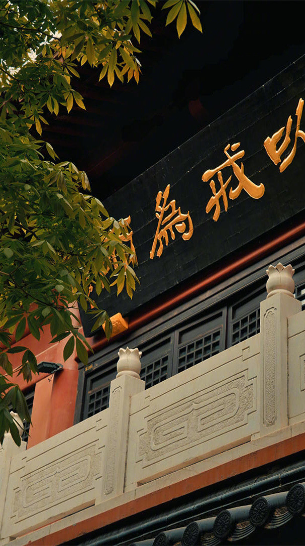 时间在不断筛选你身边的人和事，不会有人永远陪着你，但是永远会有人陪着你。生活可以